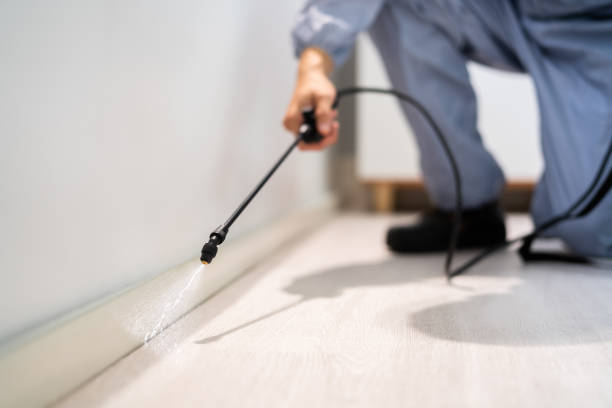 Bed Bug Pre-Treatment Preparation Assessment in Belleview