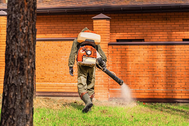 Bed Bug Clearance Verification and Documentation in Belleview